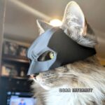 dearinternet-og-catman-mask-for-vigilante-cats-7