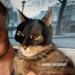dearinternet-og-catman-mask-for-vigilante-cats-8