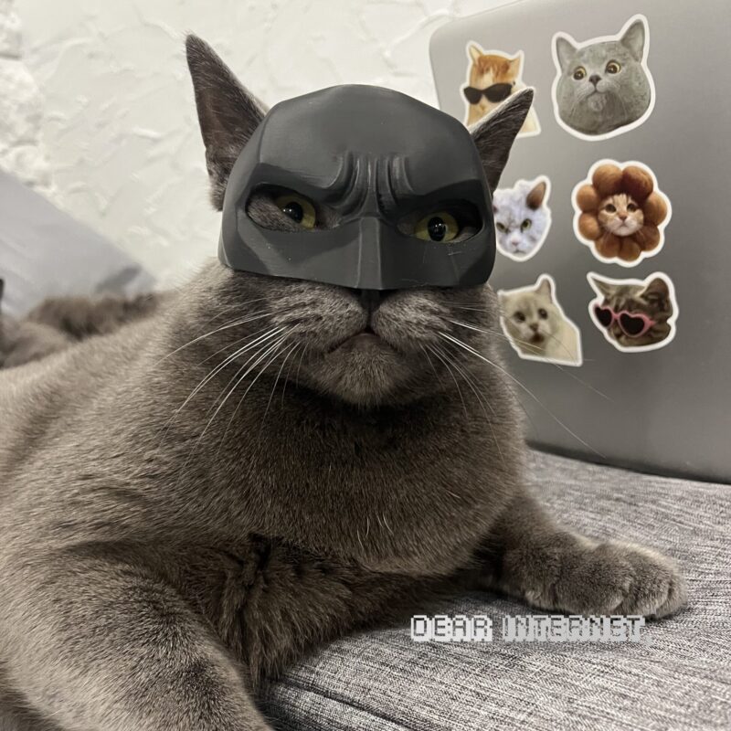 dearinternet-og-catman-mask-for-vigilante-cats-9